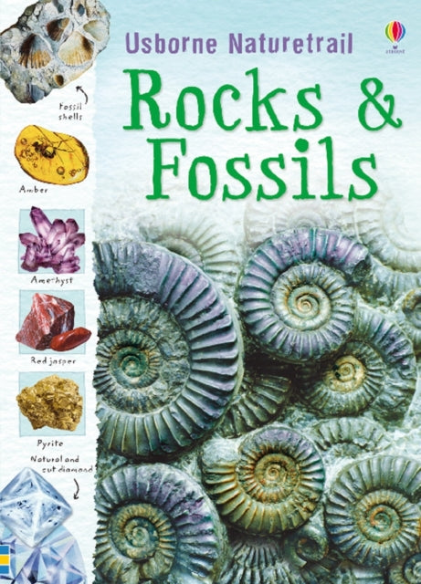 Rocks and Fossils-9781409527695