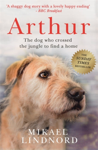 Arthur : The Dog Who Crossed the Jungle to Find a Home-9781473625266