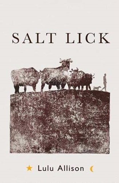 Salt Lick : Longlisted for the Women's Prize for Fiction 2022-9781789651317