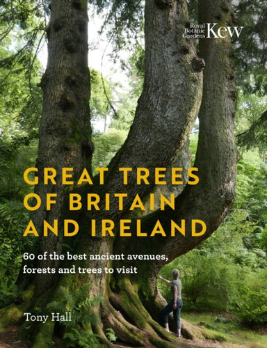 Great Trees of Britain and Ireland : Over 70 of the best ancient avenues, forests and trees to visit-9781842467466