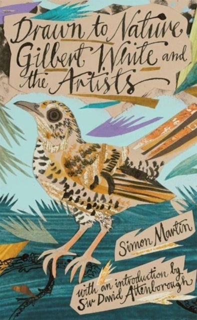 Drawn to Nature - Gilbert White and the Artists-9781869827755